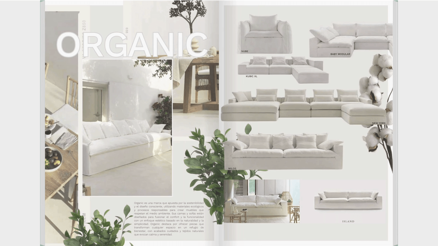 Dioh Catalog